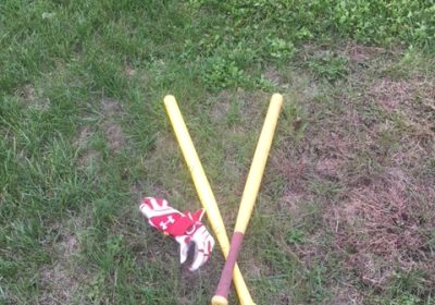 Wiffle Ball Bat Review – Wiffle Ball Bat